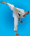 Tim Davies 1st Dan - performing "ushiro mawashi geri" - Spinning hook kick